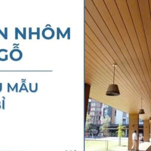 Trần Nhôm - MA01 - Ảnh 2