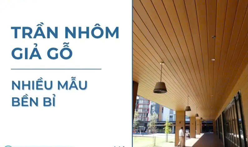 Trần Nhôm - MA01 - Ảnh 2
